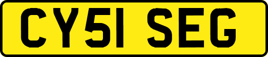 CY51SEG