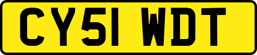 CY51WDT