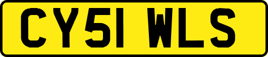 CY51WLS