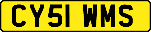 CY51WMS