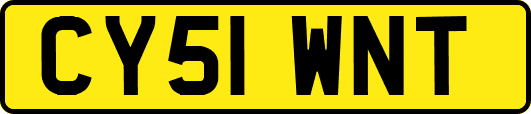 CY51WNT