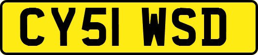 CY51WSD