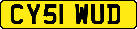 CY51WUD