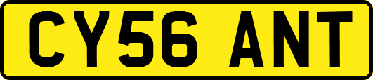 CY56ANT
