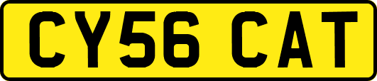 CY56CAT