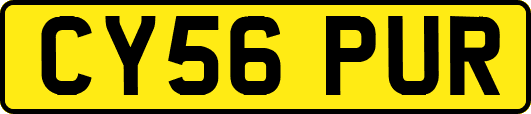 CY56PUR