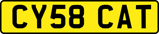 CY58CAT