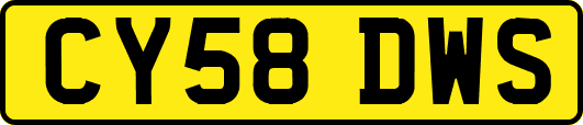 CY58DWS