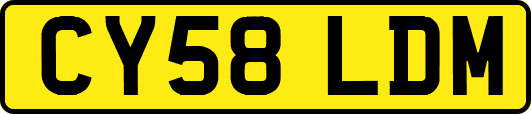 CY58LDM