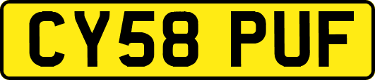 CY58PUF
