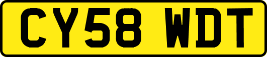 CY58WDT