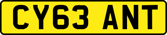 CY63ANT