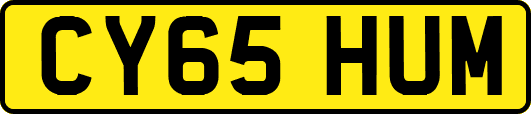 CY65HUM