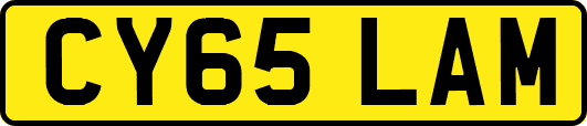 CY65LAM
