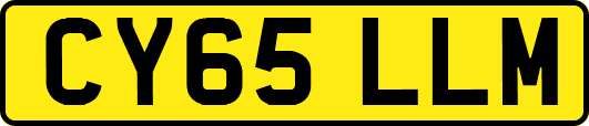 CY65LLM