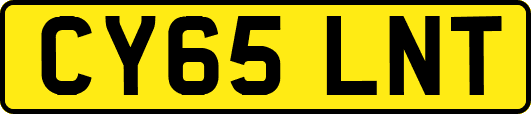 CY65LNT