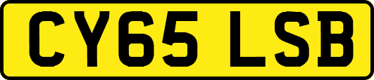 CY65LSB