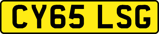 CY65LSG