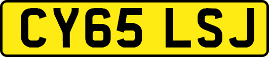 CY65LSJ