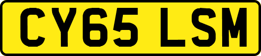 CY65LSM
