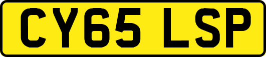 CY65LSP