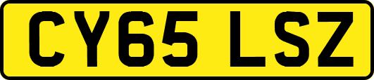 CY65LSZ