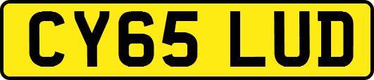 CY65LUD