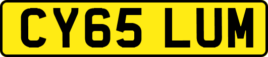 CY65LUM