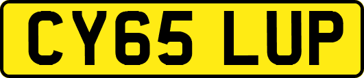 CY65LUP