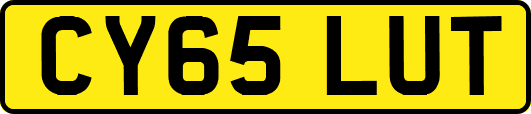 CY65LUT
