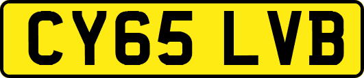 CY65LVB