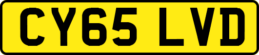 CY65LVD
