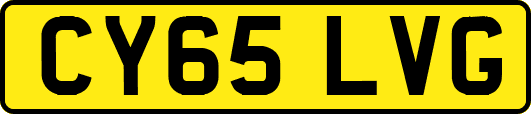 CY65LVG