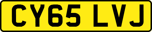 CY65LVJ