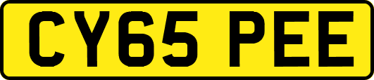 CY65PEE