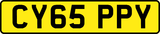 CY65PPY