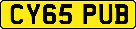 CY65PUB