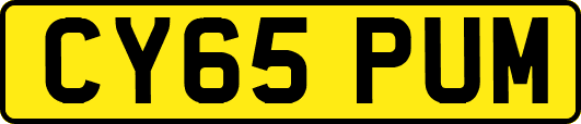 CY65PUM