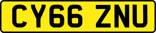 CY66ZNU