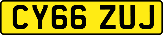 CY66ZUJ