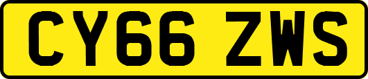 CY66ZWS
