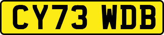 CY73WDB