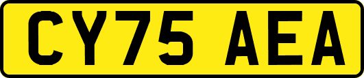 CY75AEA
