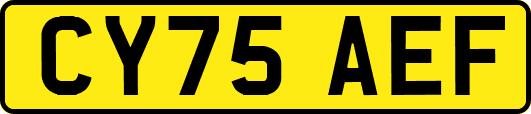 CY75AEF