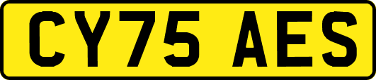 CY75AES