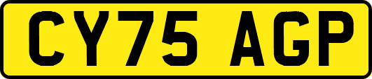 CY75AGP