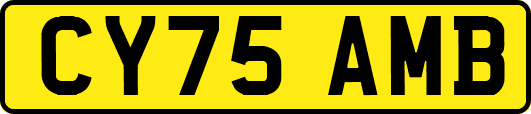 CY75AMB