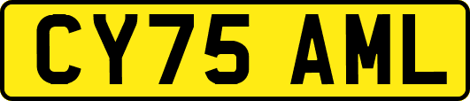 CY75AML