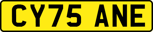 CY75ANE