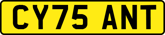 CY75ANT